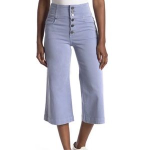 Joie Desoray Exposed Button Fly Crop Wide Leg Trousers High Waist NWT